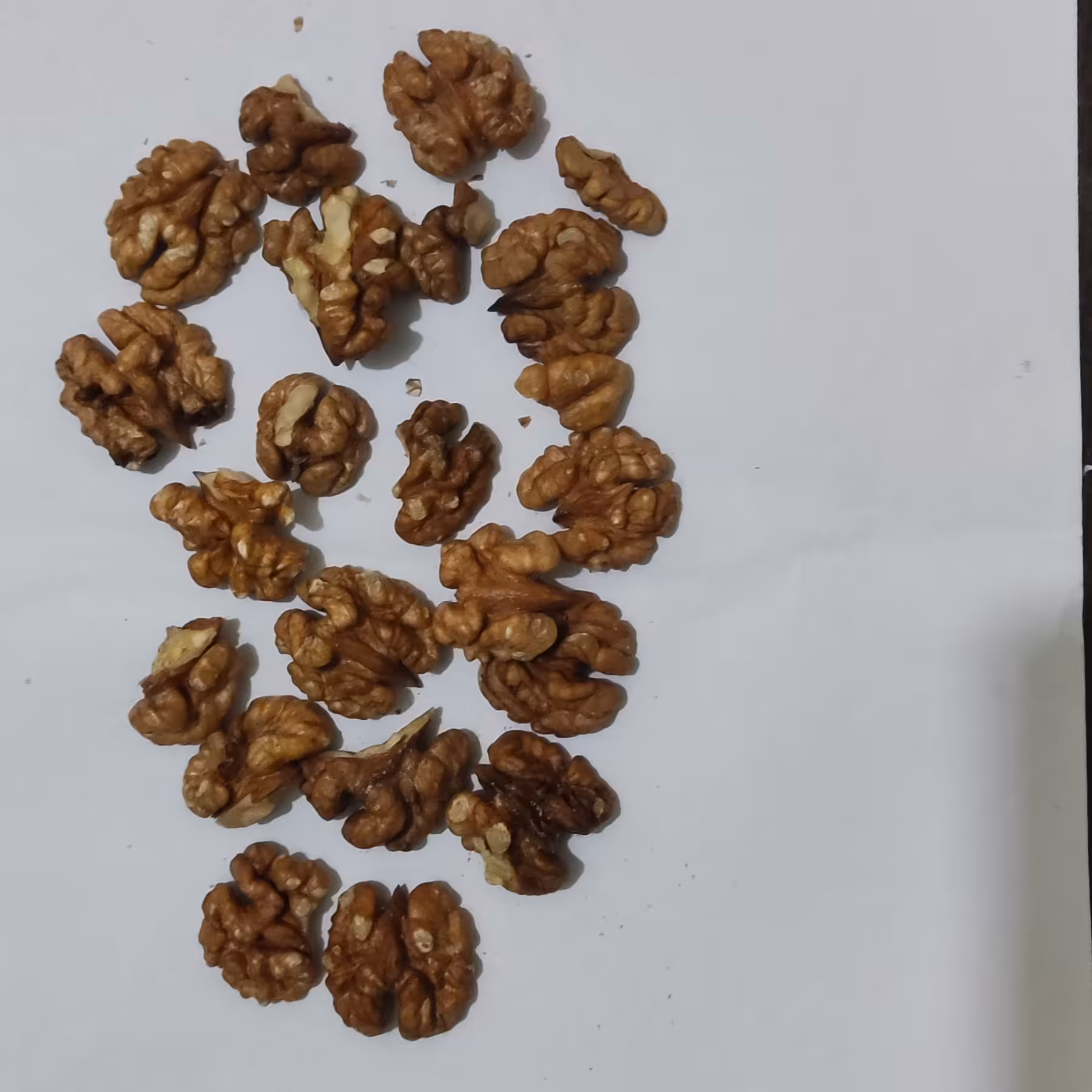 مغز گردو ایرانی نیم کیلویی فروش ویژه 