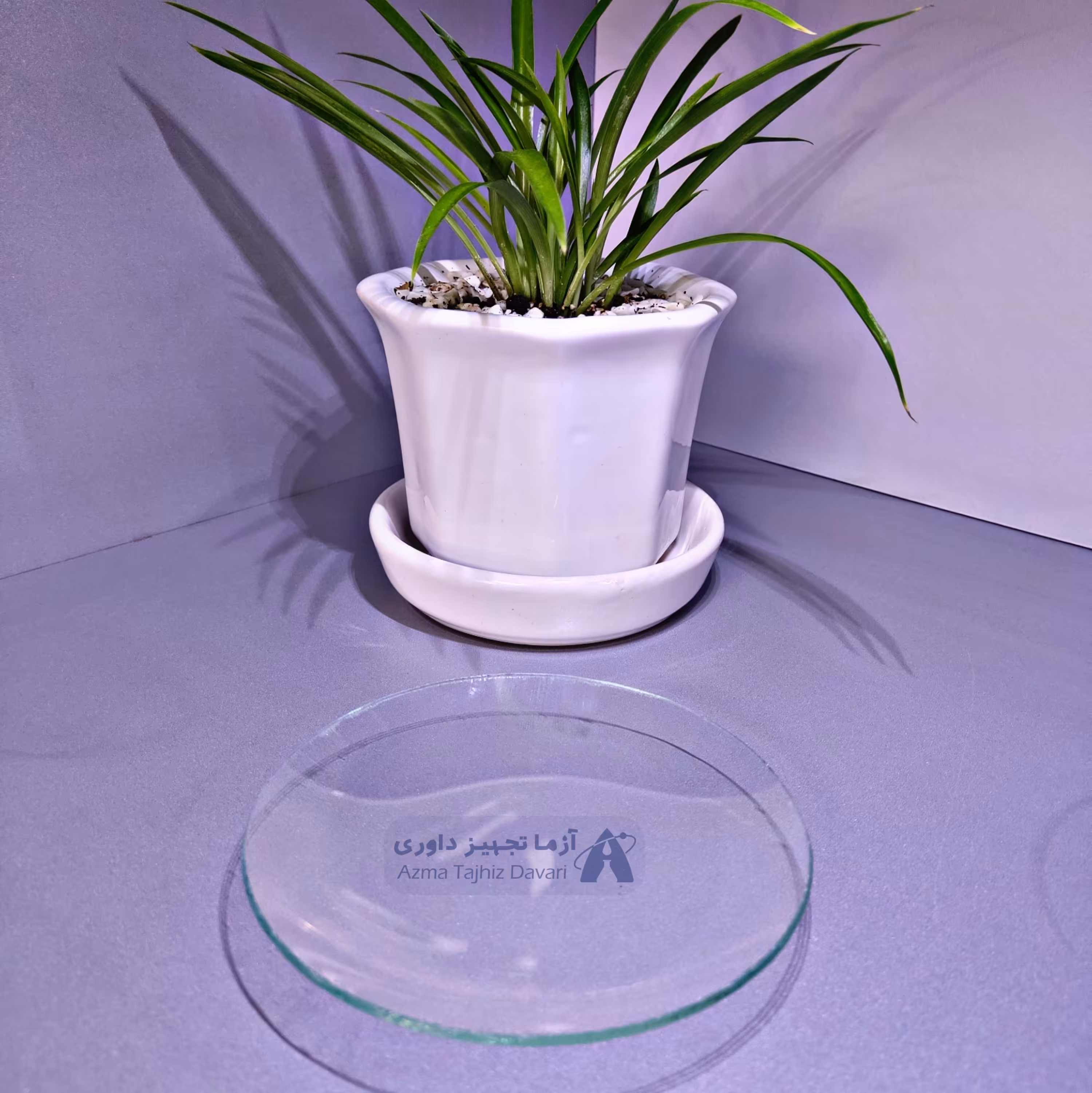 شیشه ساعت 12سانتی آزمایشگاهی