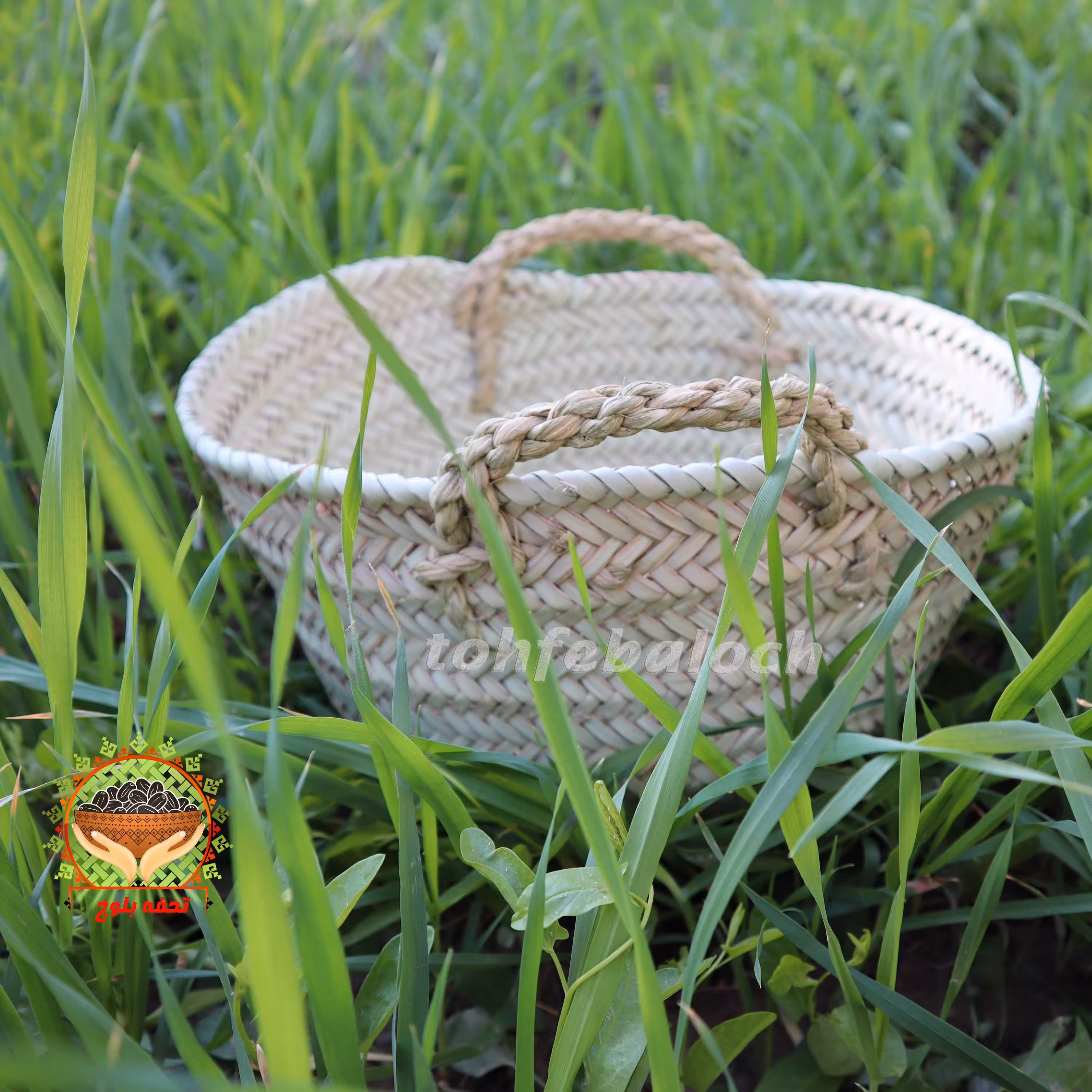 سبد میوه سبد پیاز و سیب زمینی