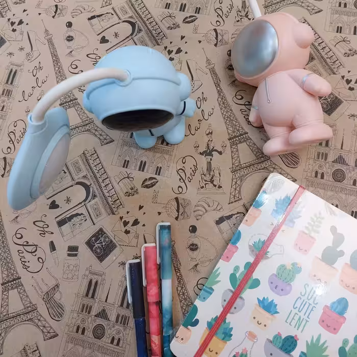 چراغ مطالعه فضانورد  در دورنگ آبی و صورتی 