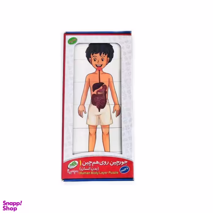 جورچین بدن انسان مدل 43 قطعه کد 2251