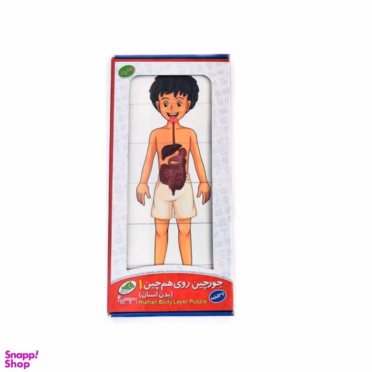 جورچین بدن انسان مدل 43 قطعه کد 2251