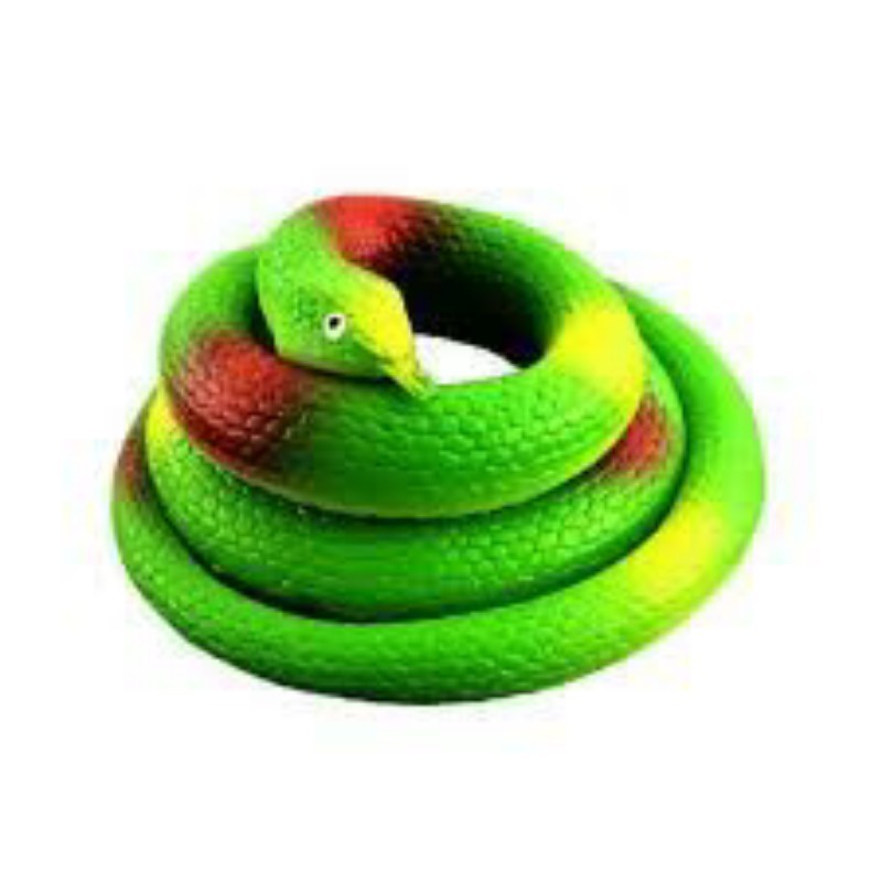 مار پلاستیکی فروشگاه آیسان