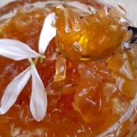 مربای بهار نارنج 500 گرمی