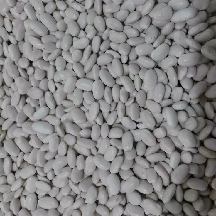 لوبیا سفید دستچین امسالی خوشپخت به شرط پزا ( تمیز و پاک شده)