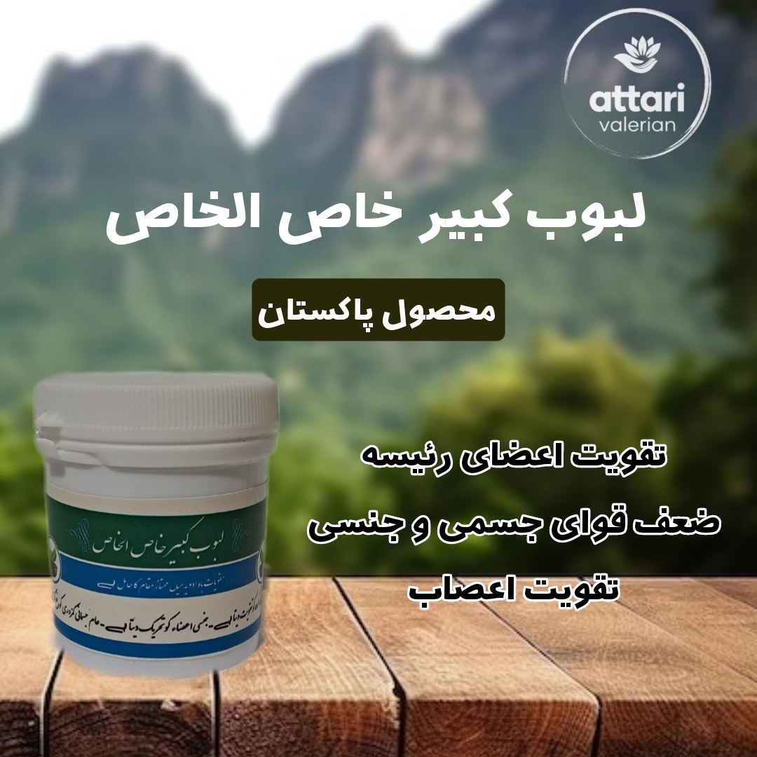 لبوب کبیر-مقوی اعضای رئیسه