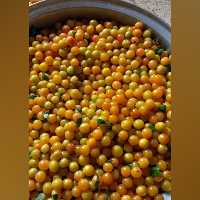 ترشی آلوچه جنگلی