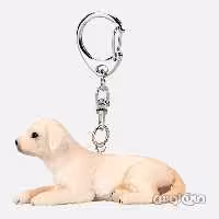 جاکلیدی سگ گلدن موجو


