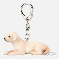 جاکلیدی سگ گلدن موجو


