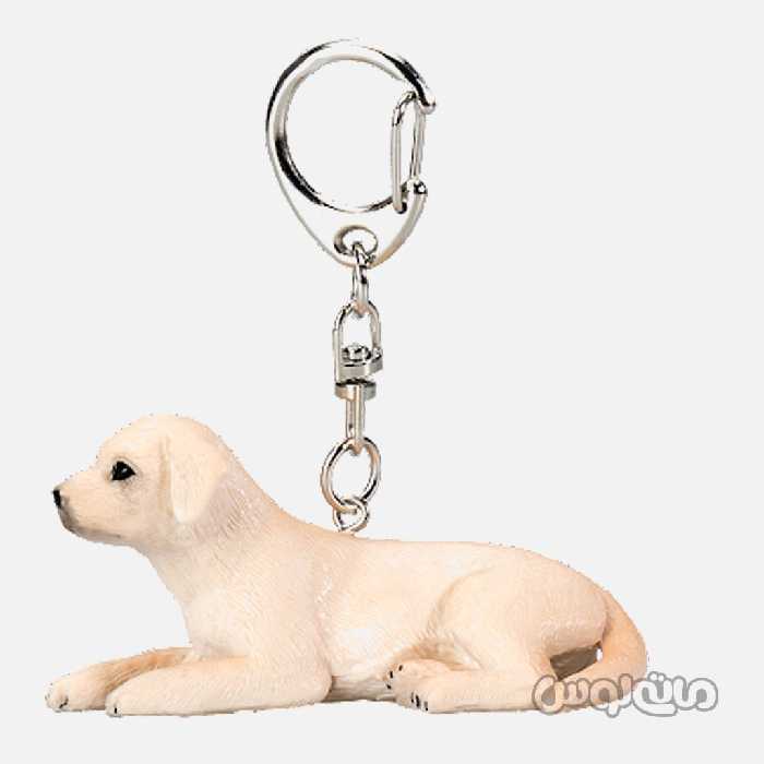 جاکلیدی سگ گلدن موجو


