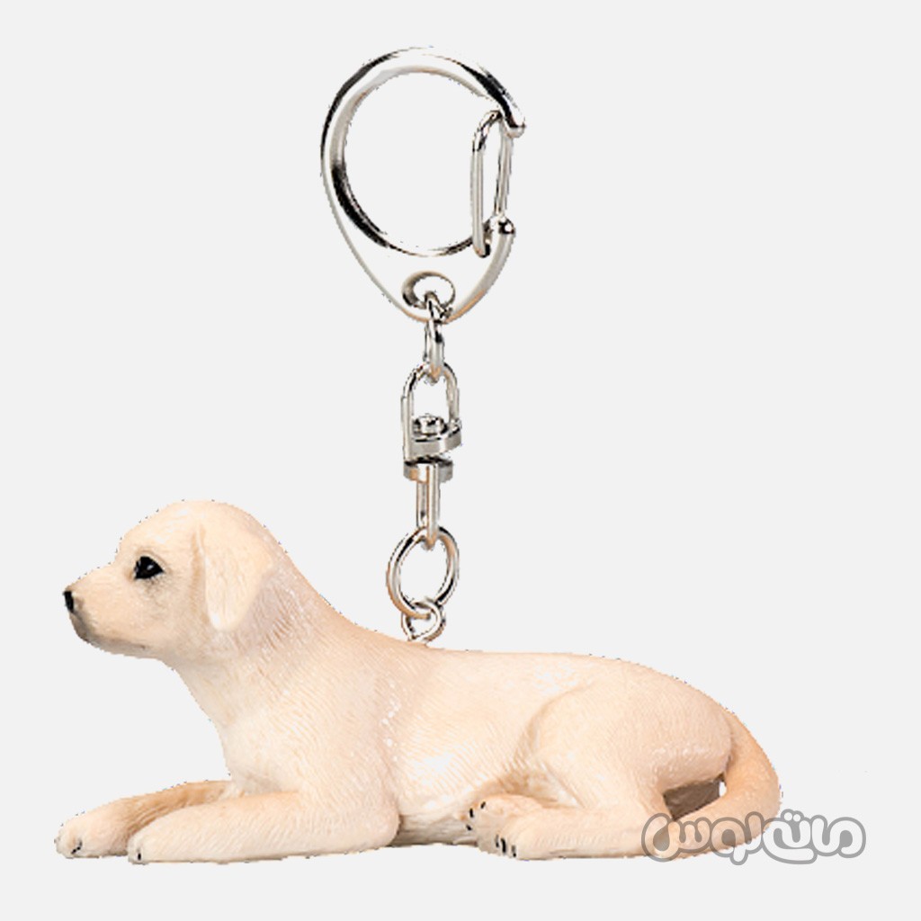 جاکلیدی سگ گلدن موجو


