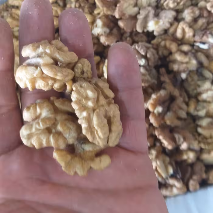 مغز گردو  اعلا پر چرب تازه ارسال رایگان