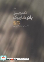 قیمت و خرید کتاب تصویر بانو شاربوک اثر جفری فورد | ایده بوک