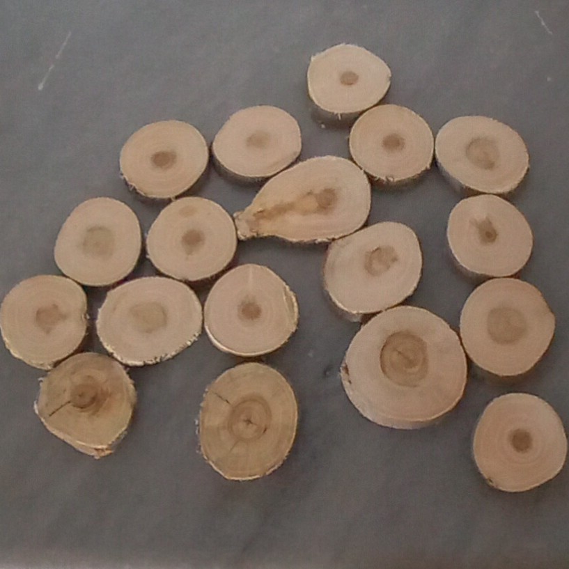 اسلایس برش کالباسی 50عددی  چوب تنه درخت  قطر حدود 3الی 5 سانتی متر و ضخامت 7 میلی متر تعداد 50 عددی 