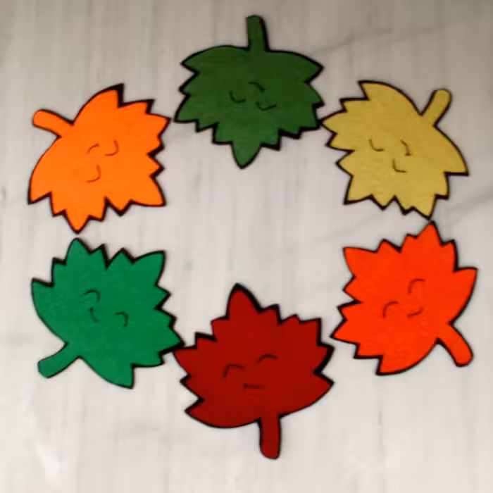 پک 6 عددی زیرلیوانی نمدی طرح برگ های شاد