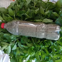 نعنا فلفلی 300 گرمی  پودر شده مناسب ماست  و سالاد  محصولات خانگی و درجه یک شیوا
