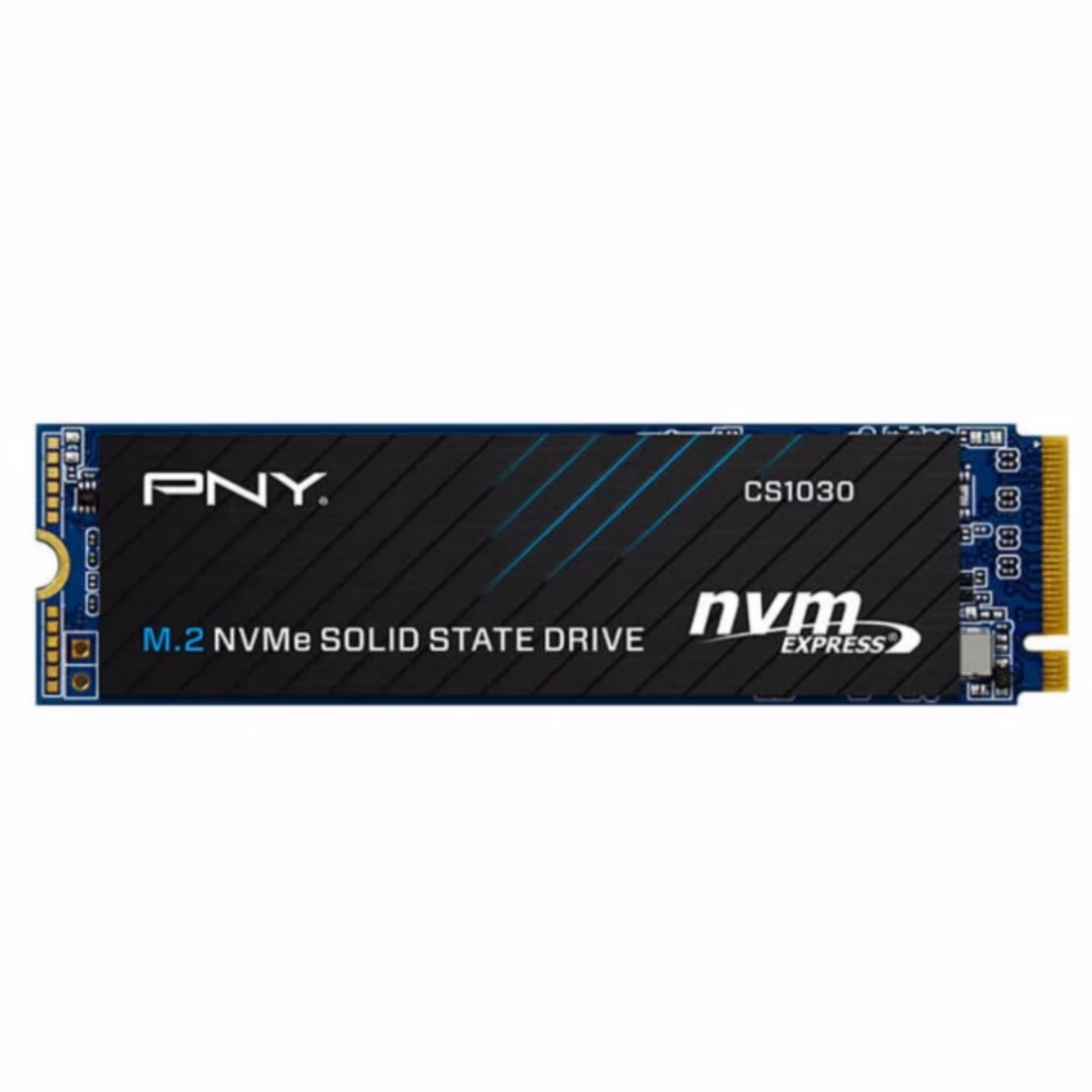 هارد 256GB M2 SSD پی ان وای CS1030 با گارانتی 24 ماهه