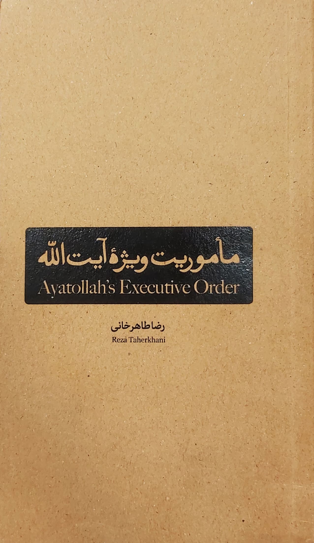 کتاب ماموریت ویژه آیت الله