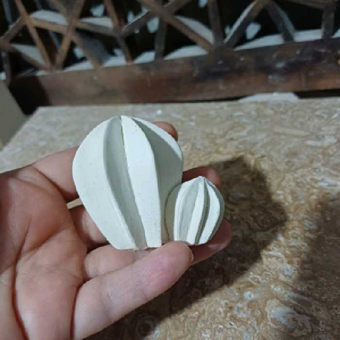 بیس خام کاکتوس شماره ی 8