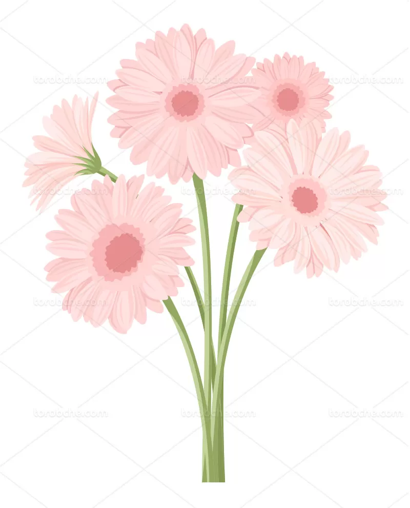 وکتور گل صورتی با کیفیت | گرافیک با طعم تربچه