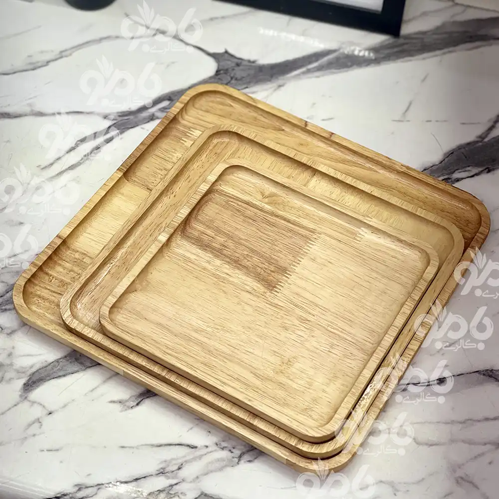 دیس و بشقاب مربع رابروود