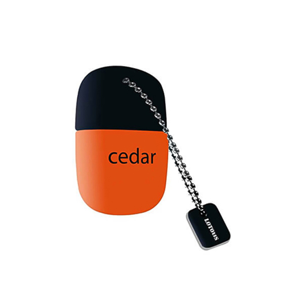 فلش مموری 16GB لوتوس USB2.0 مدل CEDAR