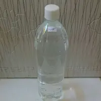 گلاب خانگی با کیفیت عالی