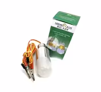 لامپ کمپی، چراغ کمپی، لامپ خودرو، روشنایی کمپینگ، لامپ اضطراری، باتری ماشین