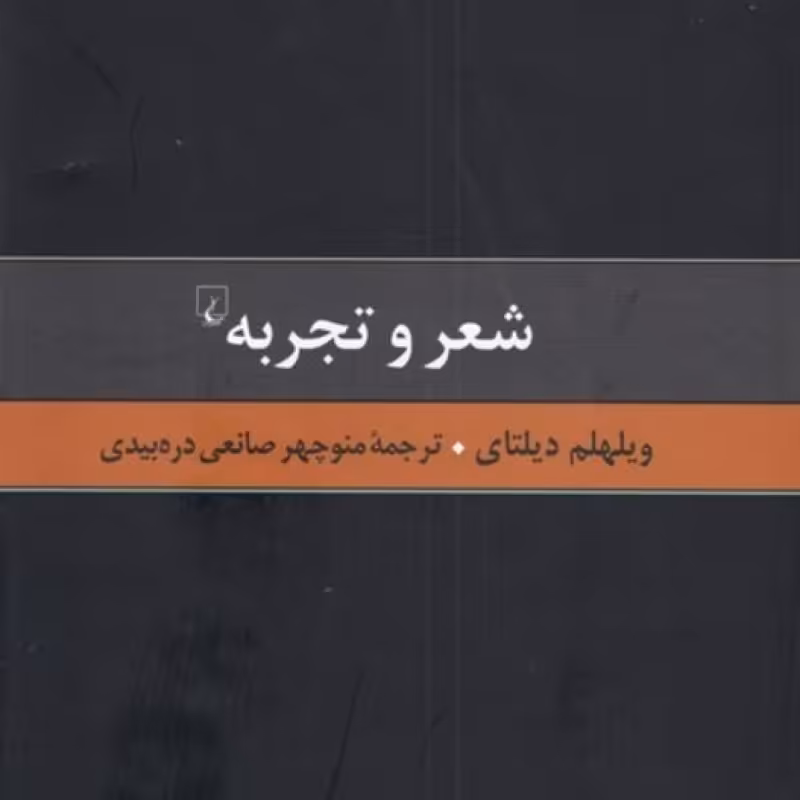 کتاب گزیده آثار دیلتای 5 شعر و تجربه