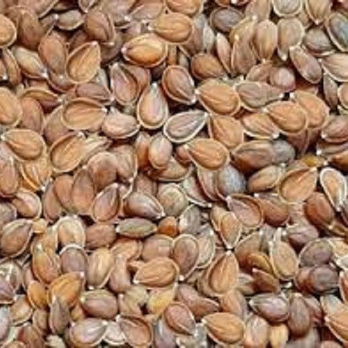 گیاه قدومه شیرازی 100 گرمی