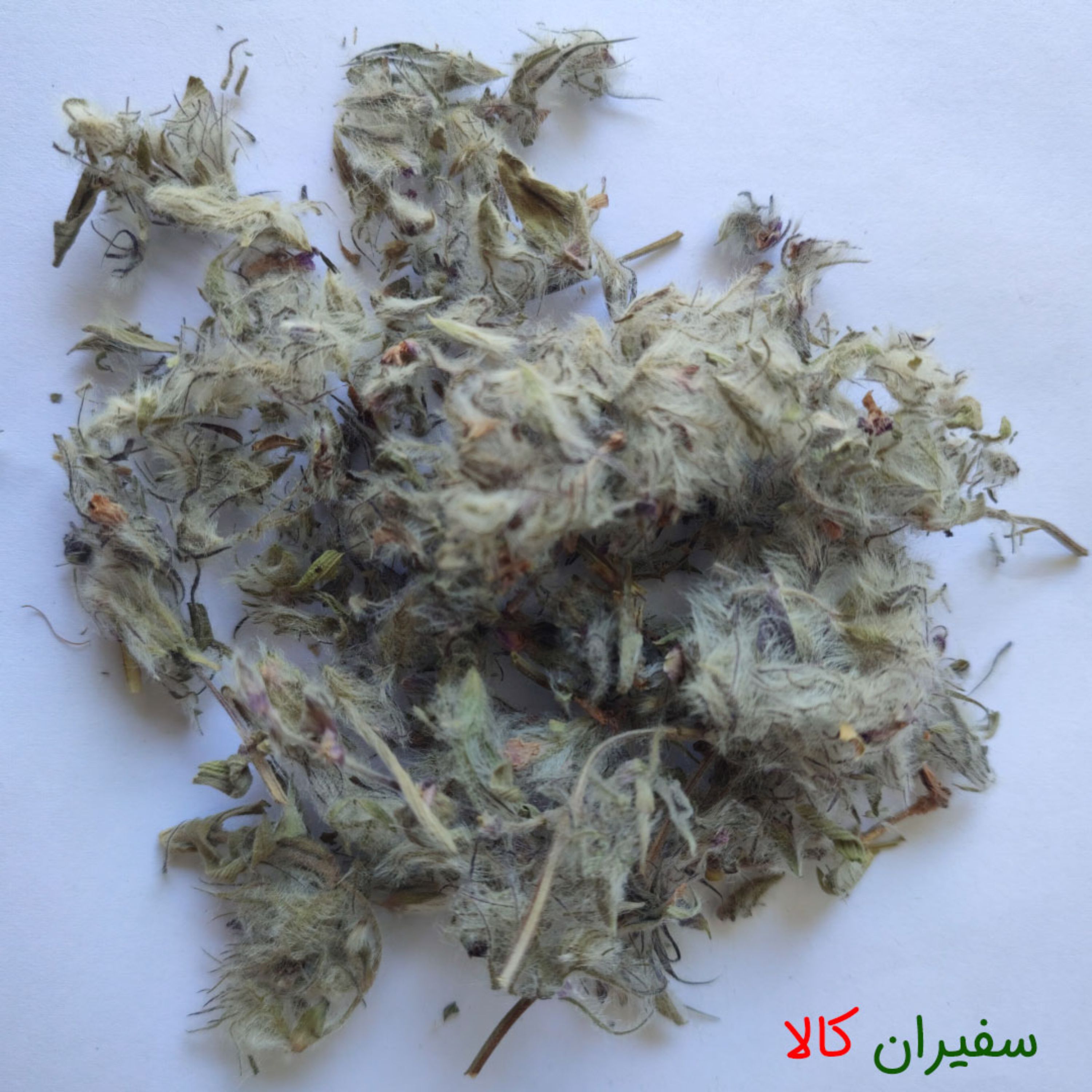 چای کوهی 100 گرمی