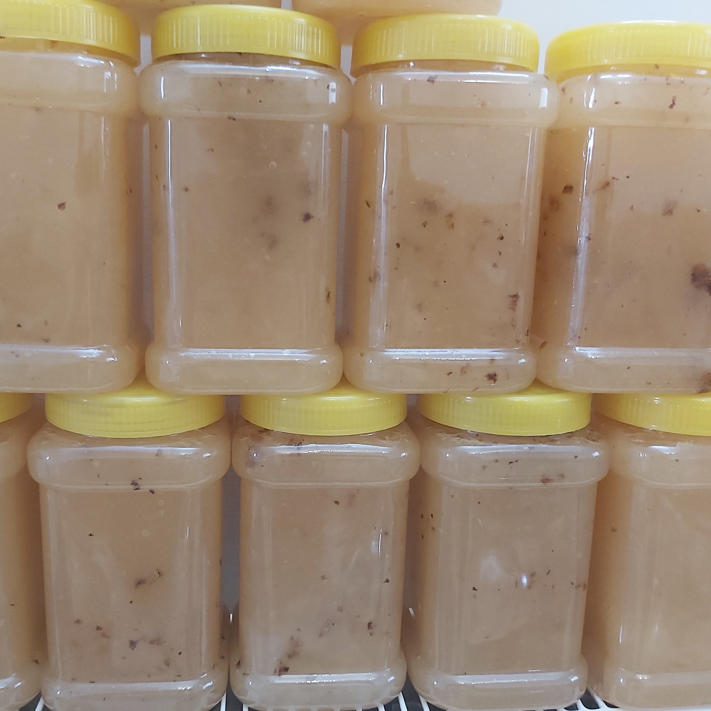 عسل گون ارگانیک یک کیلویی(رس بسته)