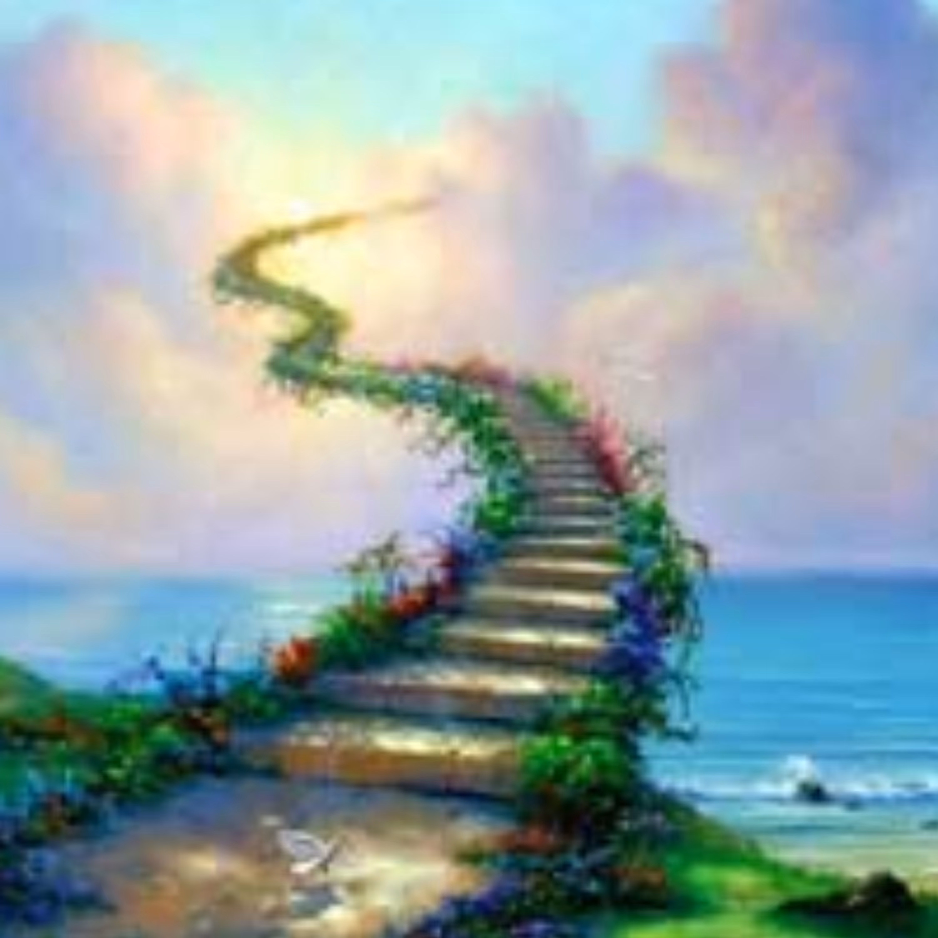 کاکوتی 100 گرمی