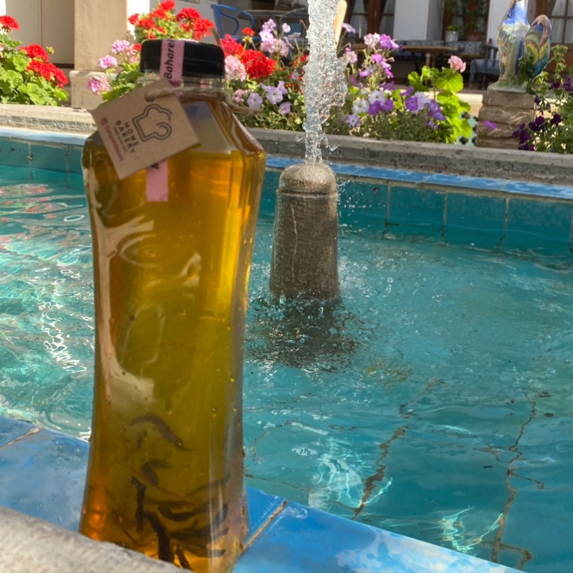 شربت سکنجبین