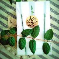 کتاب پس از بیست سال اثر سلمان کدیور 