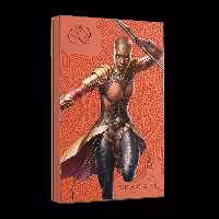 قیمت هارد اکسترنال سی‌گیت HL260 ظرفیت 2TB