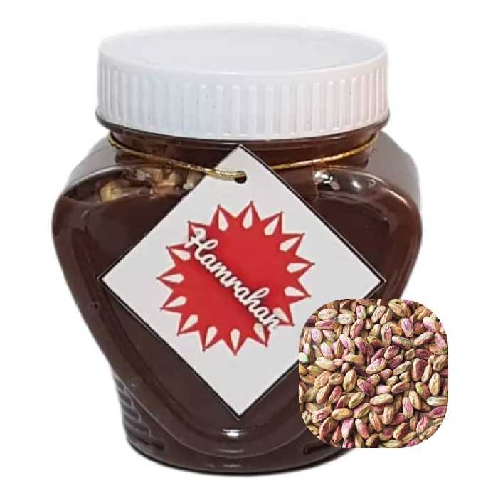 شکلات صبحانه فندقی خانگی با مغز پسته مقوی و مغذی (800گرمی)