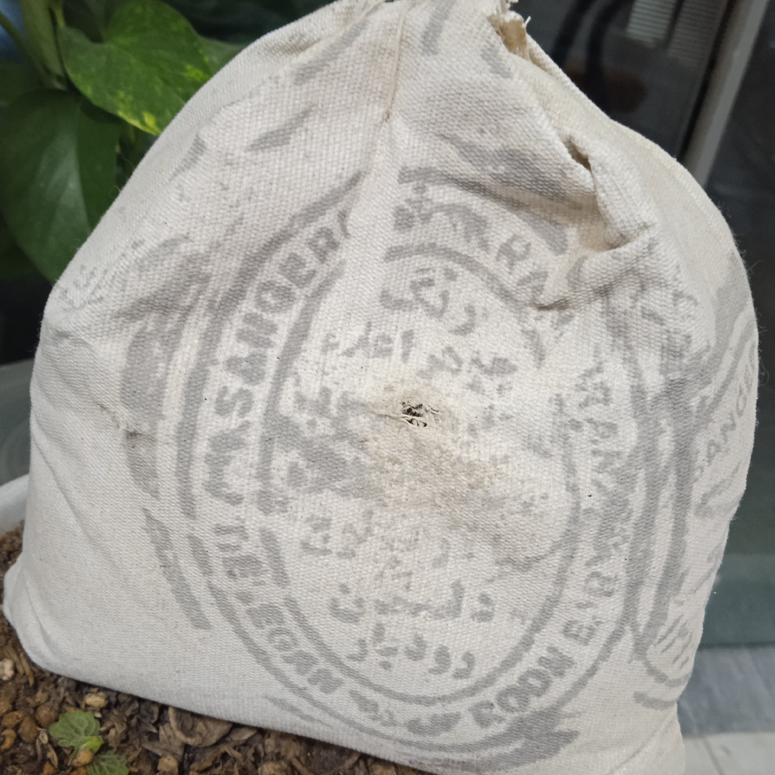 وسمه  رنگ طبیعی