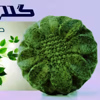 صابون نعنا گلاریس