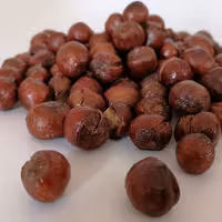 فندق بوداده ترک