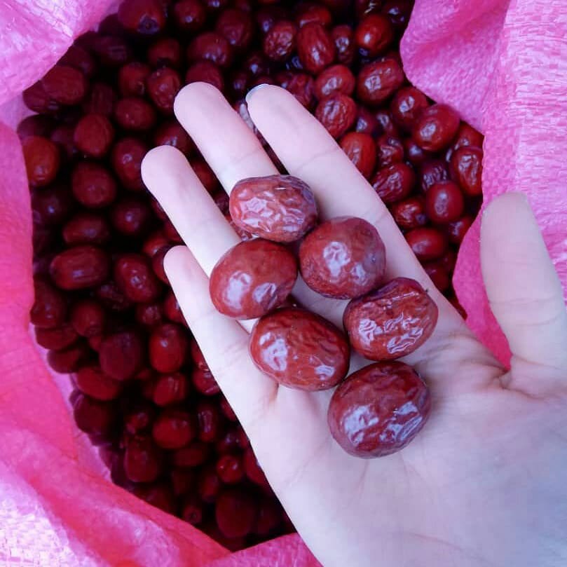 عناب بیرجند