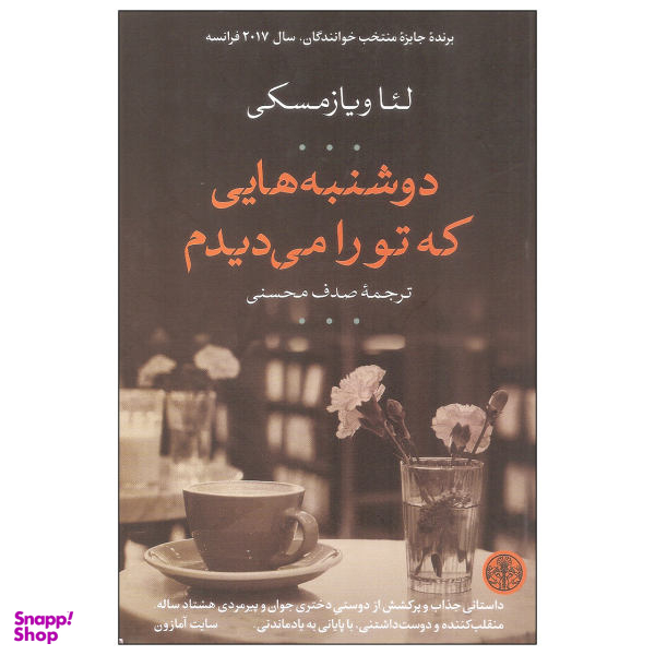 کتاب دوشنبه هایی که تو را می دیدم اثر لیا ویازمسکی انتشارات کتاب پارسه