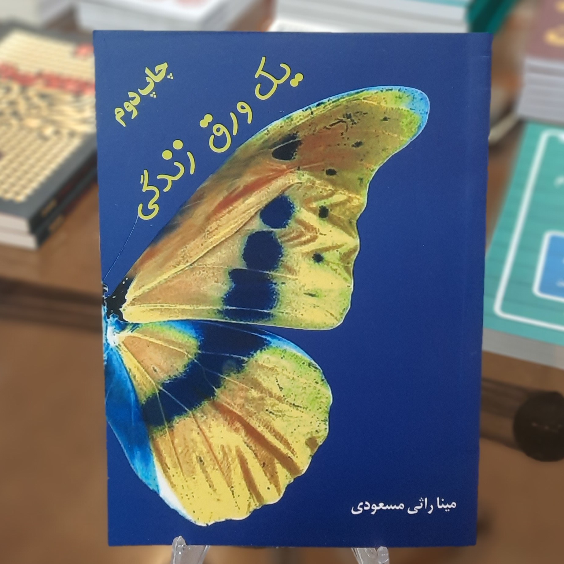 کتاب یک ورق زندگی اثر مینا راثی مسعودی