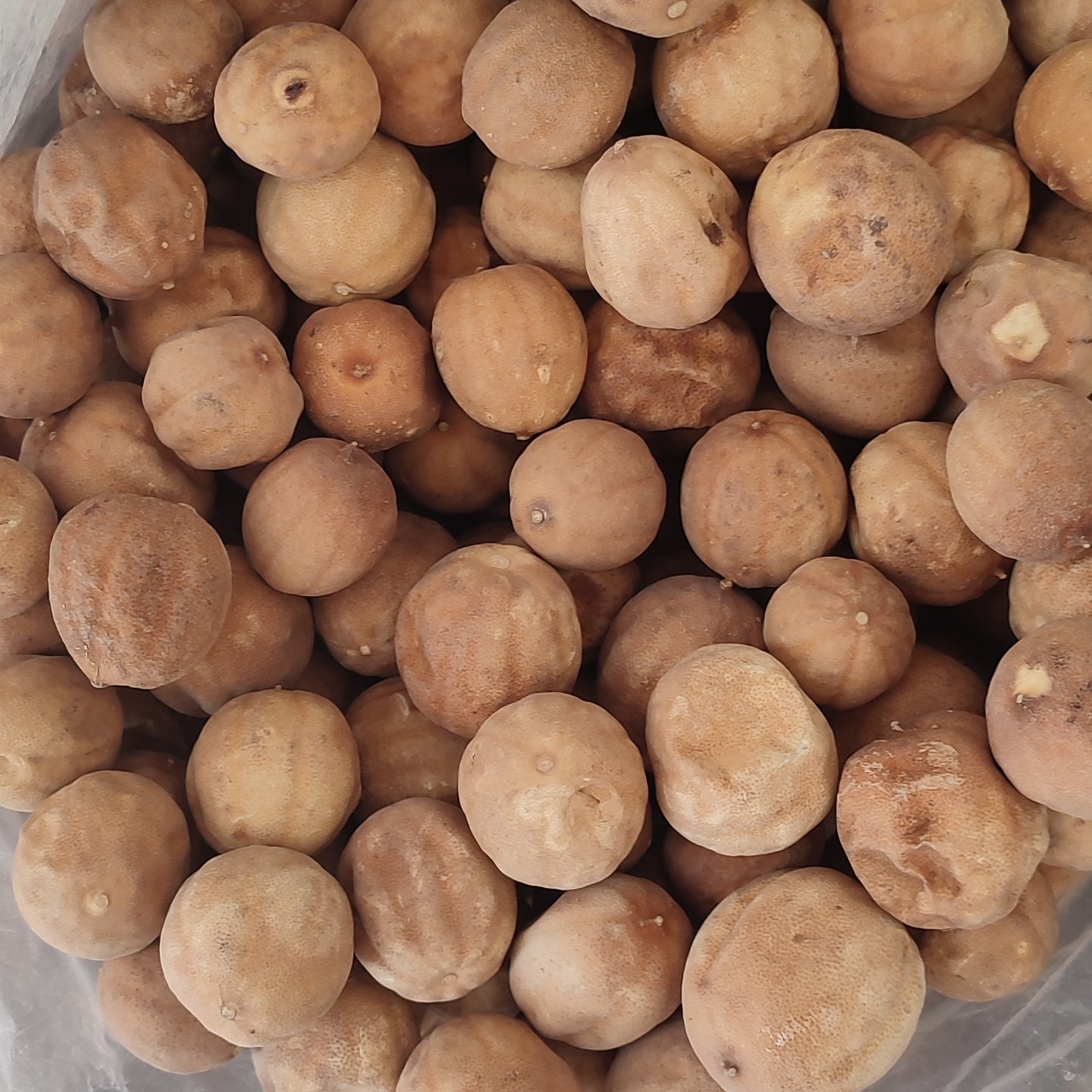 لیمو عمانی ایرانی میناب (200 گرم)