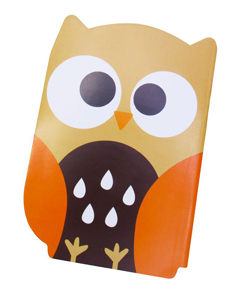 یادداشت جلد گلاسه آیلار فانتزی جغد