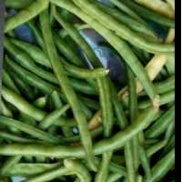 لوبیاسبز چشم بلبلی