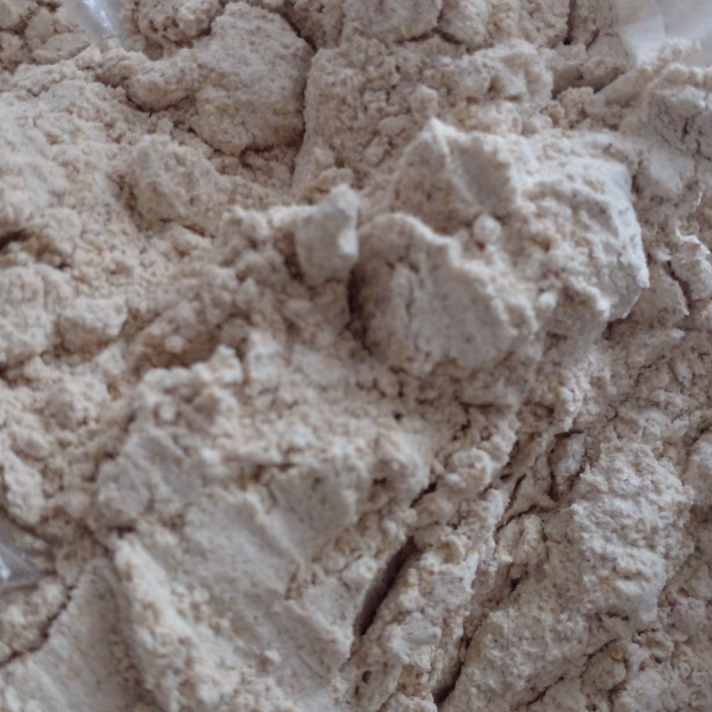 آرد جوانه گندم باسبوس