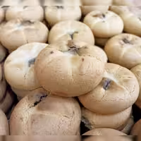 کلوچه خرمایی تازه پخت (1 کیلویی) کلمپه سوغات کرمان💖👌