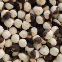 کشک قره قروتی دورنگ تازه