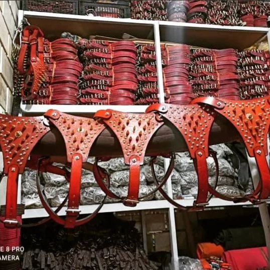 سینه بند و قلاده سگ